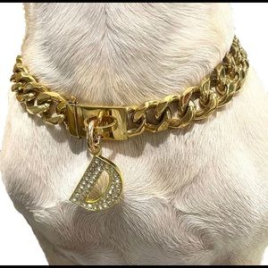 Dog chain with bling charm
